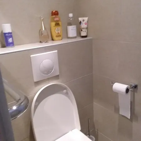 Homestay Votre Climatisee Au Palace Perpignan
