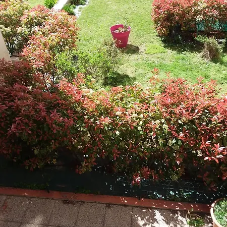 Votre Climatisee Au Palace Homestay *
